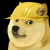 avatar Doge4Days